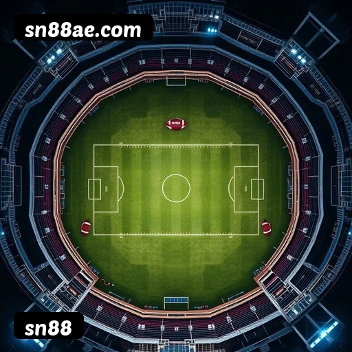 Níveis do programa VIP da sn88